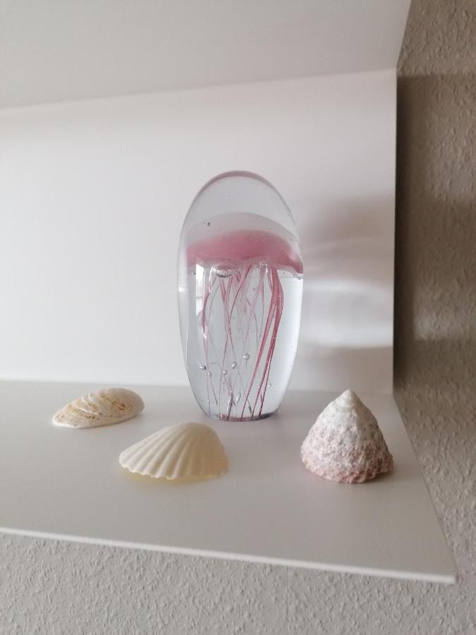 Sea-Me Ostend Luaran gambar