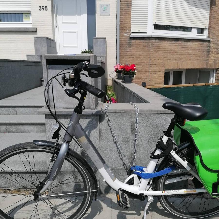 Sea-Me Ostend Luaran gambar